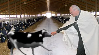 Лукашенко приехал к польской корове