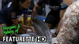 Dolphin Tale 2 (2014) Featurette - Sequel To a True Story