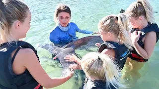 Dolphin Daily Assessment at Dolphin Quest Hawaii with Adventure Family Journal!