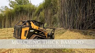 Removing Thick Bamboo