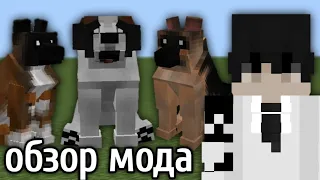 Обзор Мода на Породы Собак в Minecraft PE - Dogs Plus, Dogs Addon[B]
