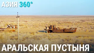 Аральская пустыня | АЗИЯ 360°