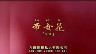 蒂女花 I  粵語  I  流行金曲  I  伴奏  I   KTV I KARAOKE版