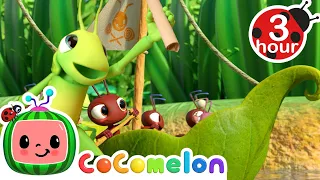 Ants Sing Row Row Row Your Boat | Cocomelon - Nursery Rhymes | Fun Cartoons For Kids | Moonbug Kids