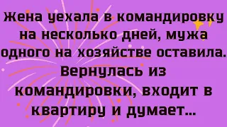 Жена уехала в командировку на несколько дней... Смешной анекдот...