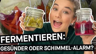 Fermentieren: Gesünderes Essen oder Schimmel-Alarm? - Selbstversuch || PULS Reportage