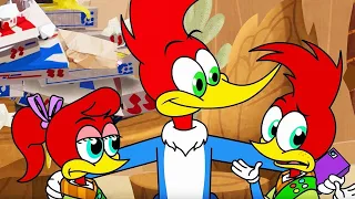 Woody Woodpecker | Scouts Dishonour | Woody Woodpecker Full Episodes | Kids TV Shows