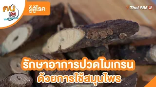 รักษาอาการปวดไมเกรนด้วยการใช้สมุนไพร | รู้สู้โรค | คนสู้โรค