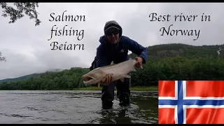 Fishing for  SALMON in Norway`s best river: BEIARN
