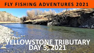 FLY FISHING ADVENTURES 2021: Day 5 to a Yellowstone River Tributary on April 9 [Episode #5]