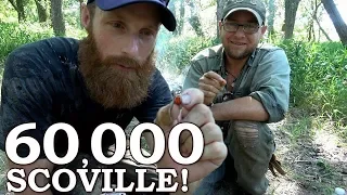 Crying Pain from Eating Wild Chili Pepper Ep0 | 100% WILD Food SURVIVAL Challenge!