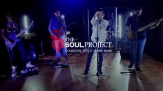 Collective Soul - Precious Declaration -  |The Soul Project Tribute Band| HD