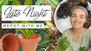 Late Night Plant Chores 🌙 Repotting, Moss Pole Making + Chat 🌿