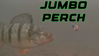 Doing THIS Catches JUMBO Perch At -50 Temp! Locating Proper Holes