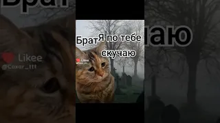 Брат скучает((😨😨😰😰😭😭