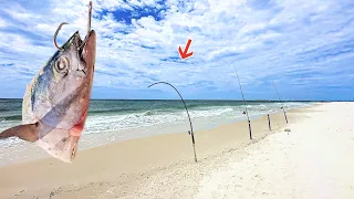 Eating Whatever I Catch At This Public Beach!