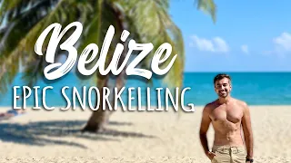 Epic Snorkelling In Belize | Turtles, Sharks, Rays, Octopus & Manatees