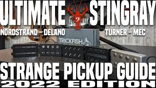 Ultimate Stingray Strange Pickup Guide 2022 Edition - ft Trickfish IPA Preamp - LowEndLobster Builds