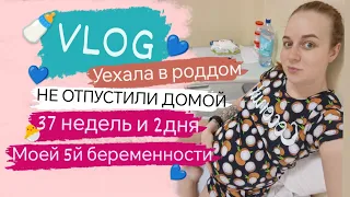 Влог из роддома 🤰🏼 когда же уже рожать??? 🐣