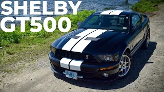 2008 Ford Mustang Shelby GT500 PURE SOUND | DriveHub