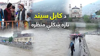 ځانګړې خپرونه: د کابل سیند په بې ساري ډول ښکلی او اوبه یې ډېرې شوې دي | The Beauty of Kabul River