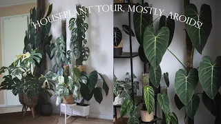 MY FIRST HOUSEPLANT TOUR | SPRING '24