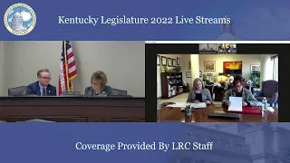 House Standing Committee BR Sub. on Health & Family Services (2-16-22)