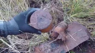 Коп по Войне 2019 WWII Metal Detecting