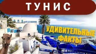 8 НЕОБЫЧНЫХ ФАКТОВ О ТУНИСЕ