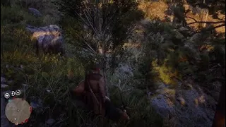 Red Dead Redemption Fun