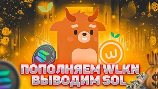 WALKEN ИНСТРУКЦИЯ ПО ВВОДУ WLKN / ВЫВОД SOL / СТОИТ ЛИ ЗАХОДИТЬ В ПРОЕКТ