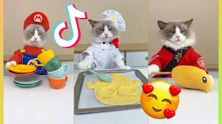 NEW THAT LITTLE PUFF TikTok Compilation #catdrinkmaker #smartcat #tiktokthatlitlepuff