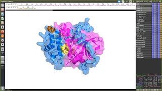 Cómo visualizar una proteína con PyMol - Parte 1