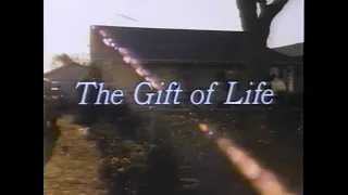 The Gift of Life (TV Movie - 1982) - Susan Dey as Surrogate Mother