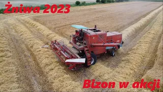 Pierwsi we wsi?!💪Czyli klimatyczne żniwa 2023 w GrBurszowscy z Bizonem w akcji🔥Ryk Bizona SW-400🔥