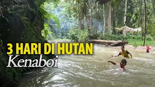 3 Hari Camping Kenaboi, Tempat Hardcore Campers Healing, Masak Ikan Daun Baru, Camping Hujan