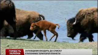 Гордість України  Заповідник  Асканія Нова!