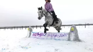 Конкурные выходные. Конный лагерь Эклектика февраль 2018