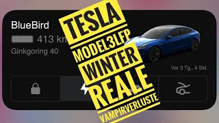 Tesla Model 3 LFP Akku (55kWh) Vampirverlust REAL im Winter bei -1 Grad am Stromzähler kein NCM NCA