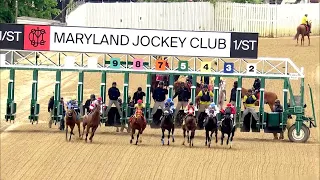 PIMLICO 05 11 2024 RACE 2