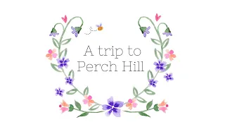 A trip to Perch Hill