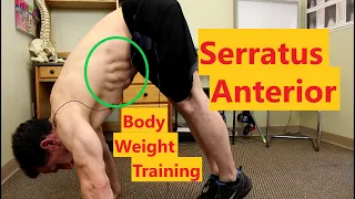Serratus Anterior Exercises - Bodyweight Exercises