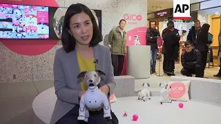 Sony relaunches popular robot dog Aibo