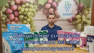 Підживлення винограду. Які препарати та коли використовувати? 2024