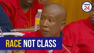 Land expropriation: EFF says it's race issue; DA questions process