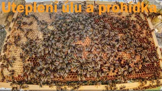 Včelařský Rok 2024 / Měsíc Březen III / Uteplení a prohlídka včel