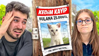 KEDİM KAYBOLDU ! Bulana 25.000 TL Ödül (Dolandırıldım)