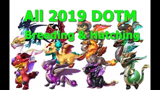 All 2019 Dragon of the month breeding and Hatching-Dragon Mania Legends |  DML
