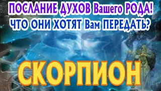 СКОРПИОН ♏🧚‍♂️🧚‍♂️🧚‍♂️ ПОСЛАНИЕ от ДУХОВ Вашего РОДА Что они хотят Вам передать Таро Расклад