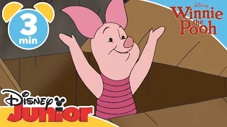 The Mini Adventures of Winnie The Pooh | Piglet's Bath | Disney Junior UK